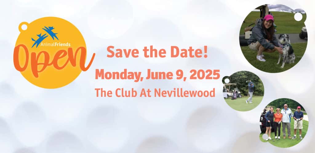 Golf Open