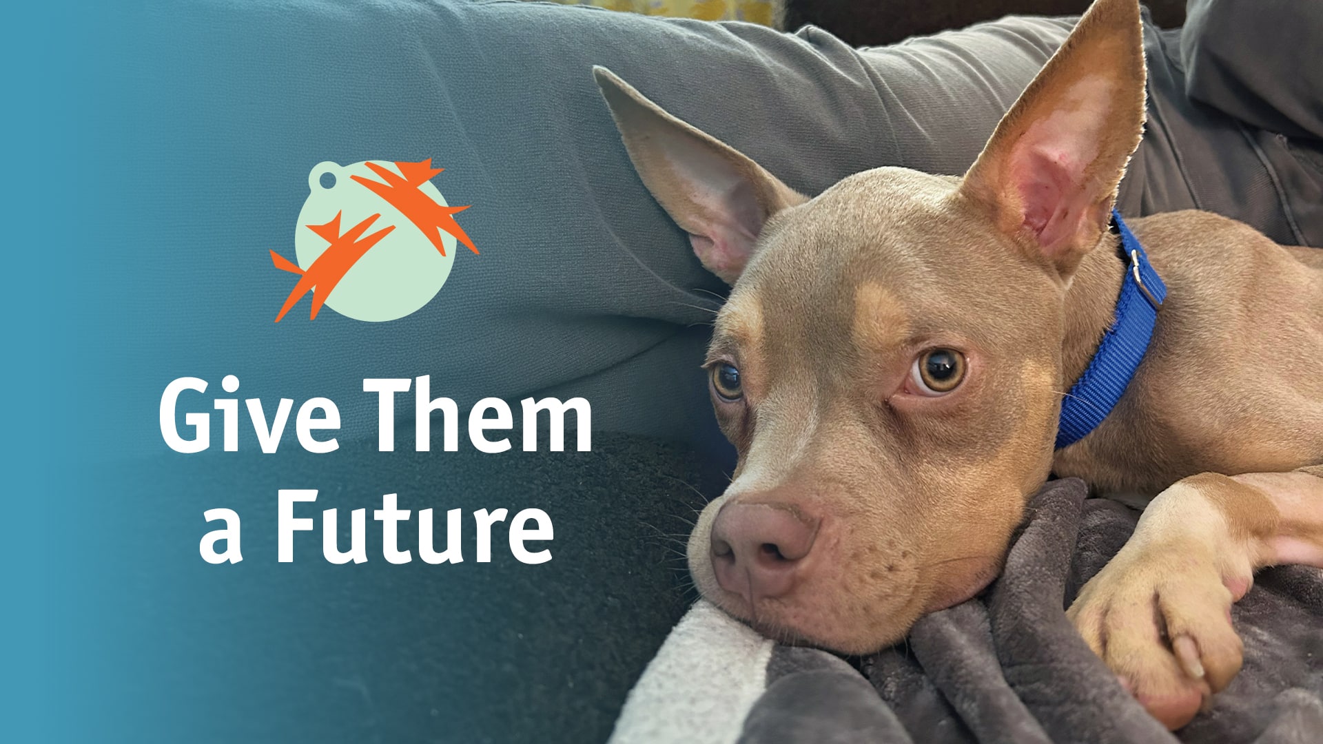 Give Them A Future