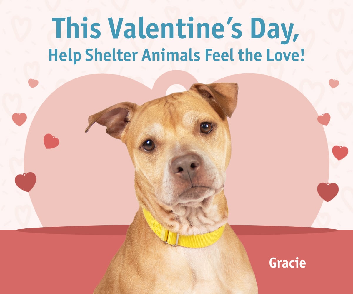 2602-AFRPA-Feb-EML-HI