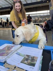 506349966_10234313873846750_8642868159384270496_n