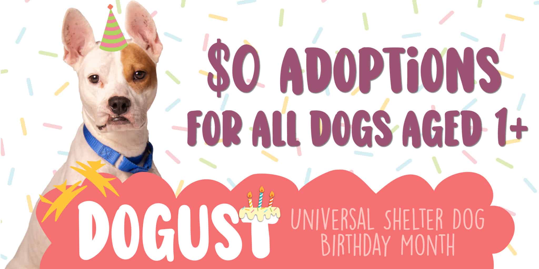 Dogust announcement