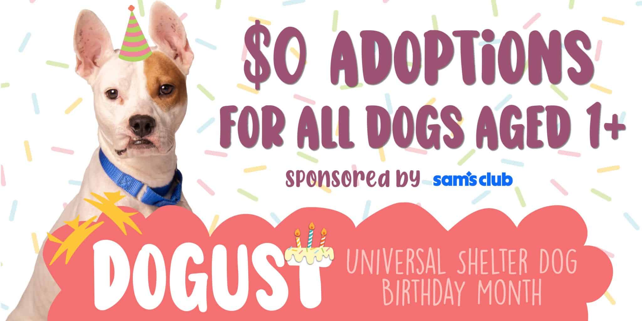Dogust announcement_sams