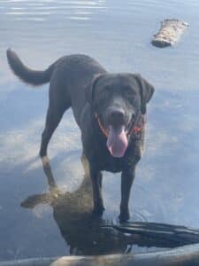 H2H Sawyer