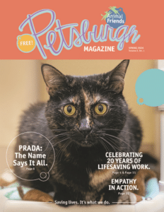 Screenshot 2026-04-20 151248