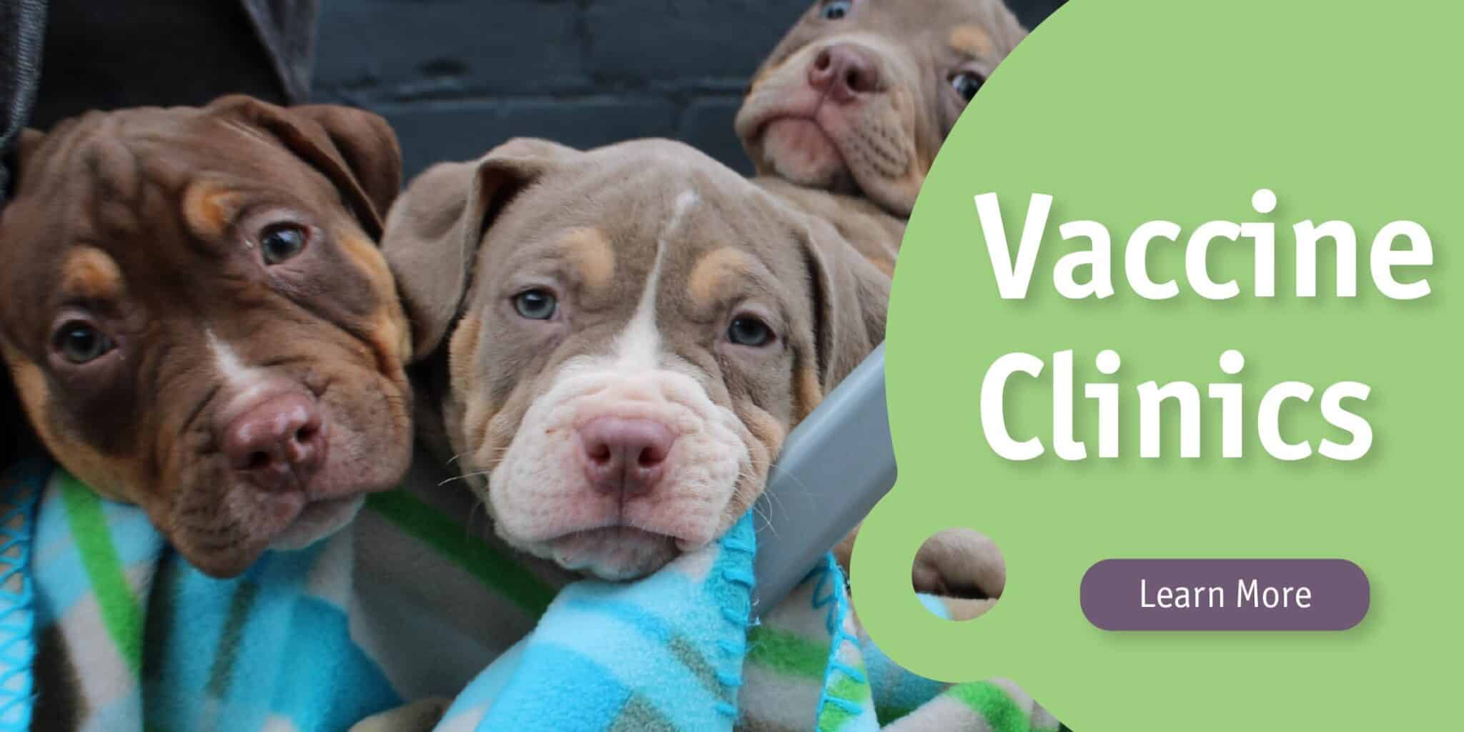 Vaccine Clinic Slide