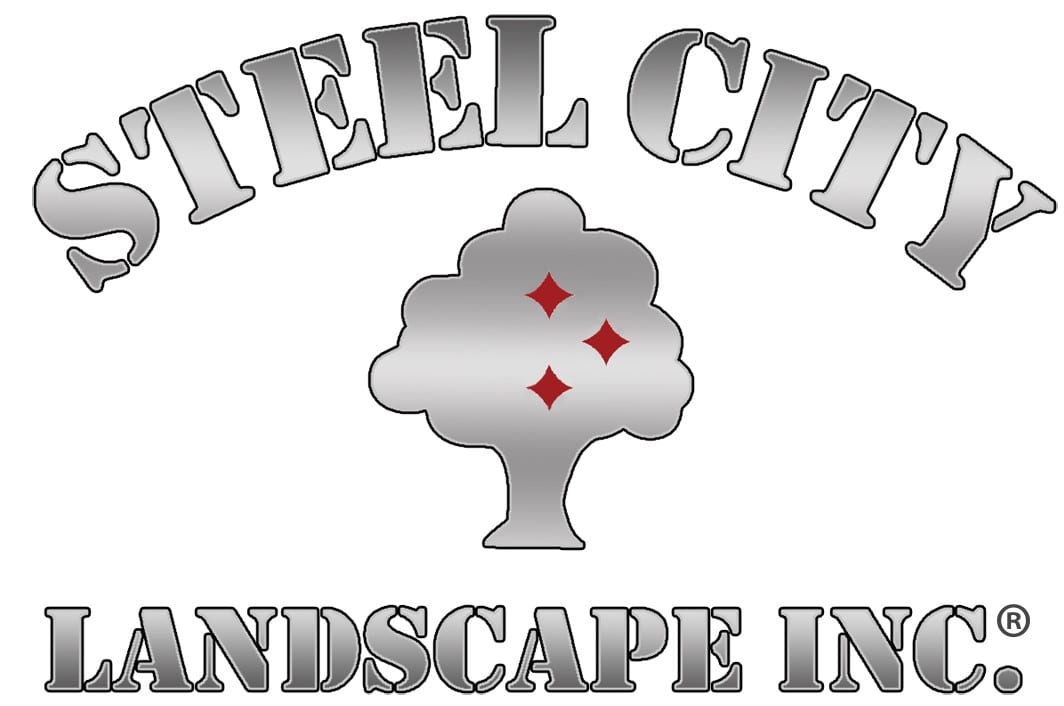 https://thinkingoutsidethecage.org/wp-content/uploads/Steel-City_SILVER_metallic_logo_copyrght.jpg