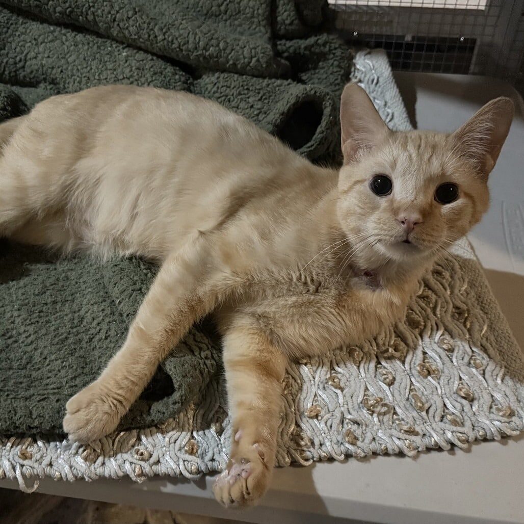 2d3293ff0cabc9236cd72dd35f319a0a_Marissa Sandoval