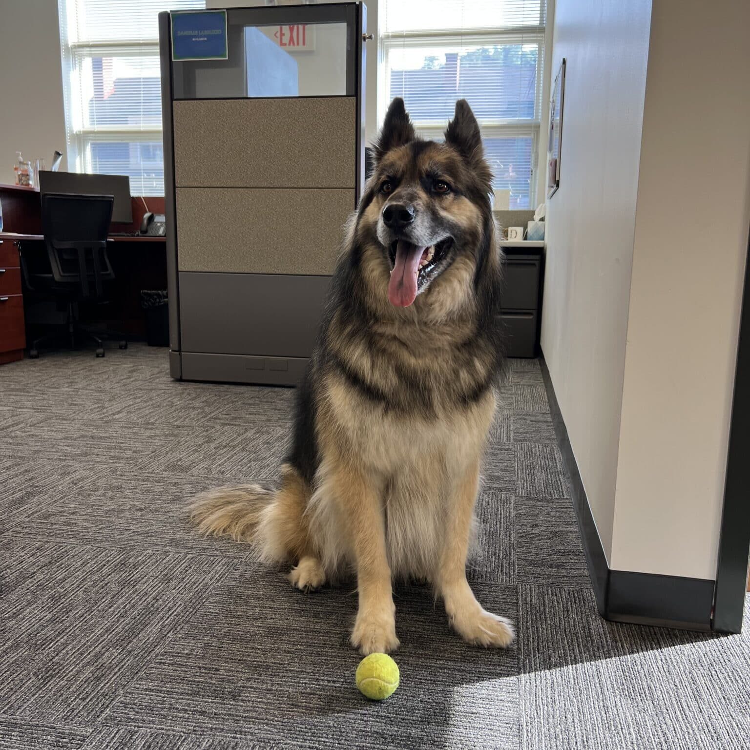 67676451996__03187491-1196-41C5-8F00-B875CB95_Linne Querubin