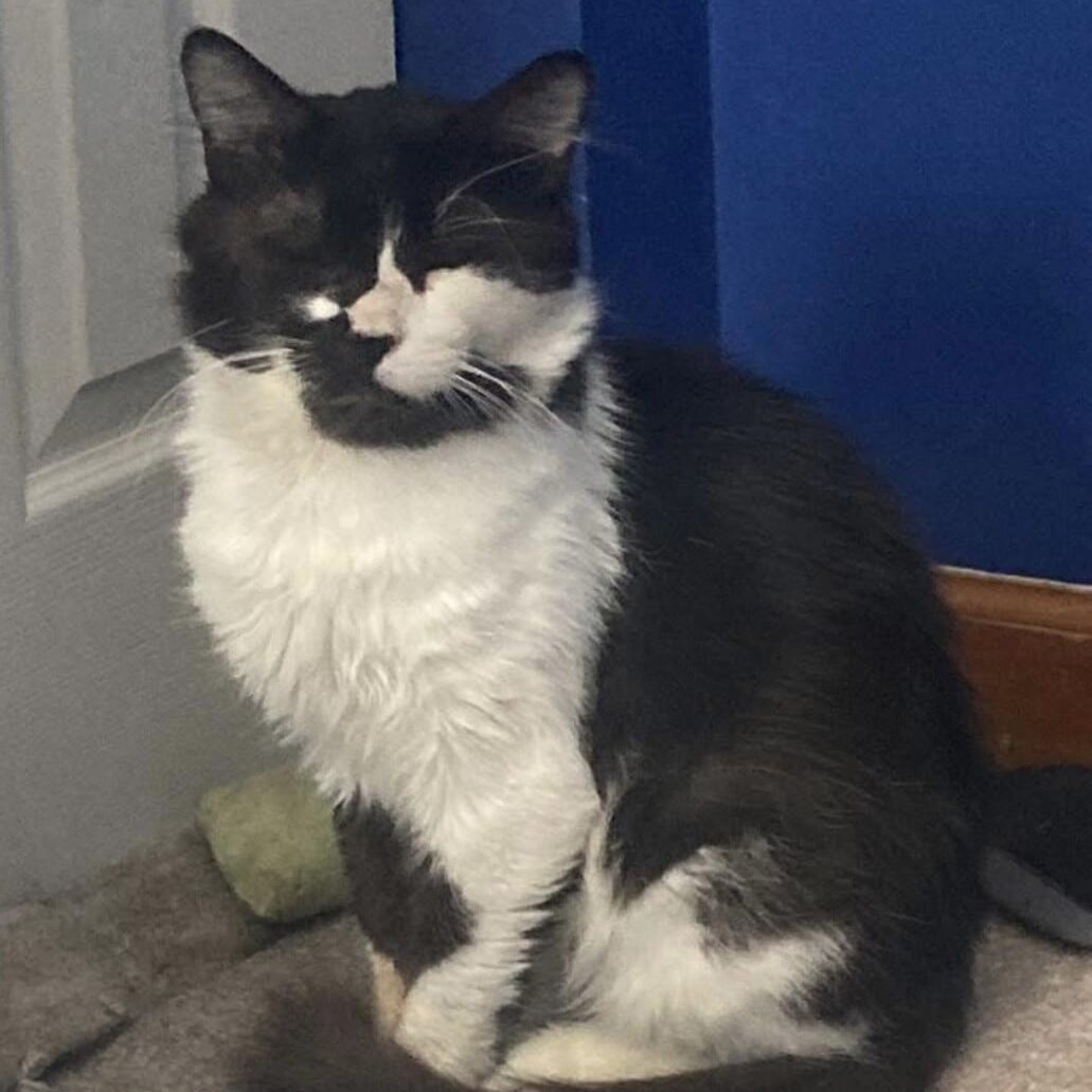 Boswell_Marissa Sandoval