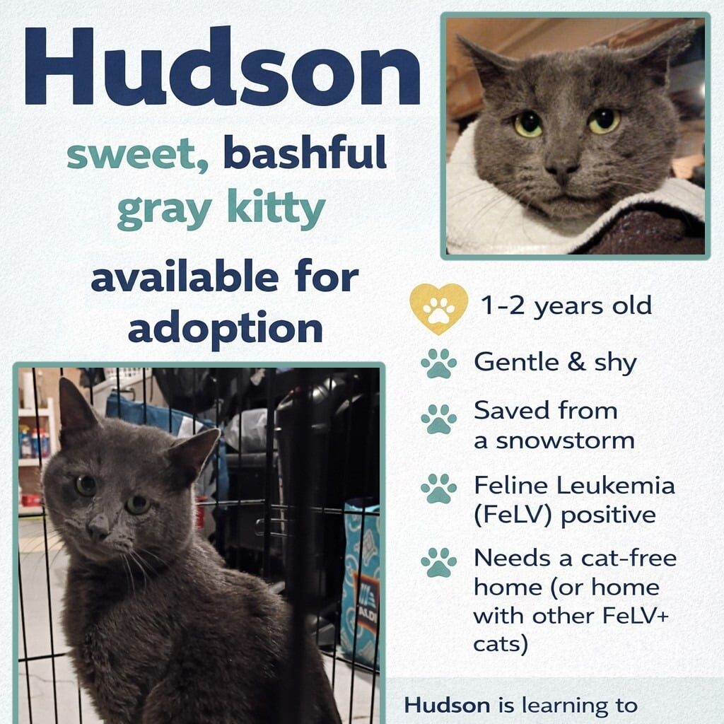 Hudson 3_Iris Marzolf