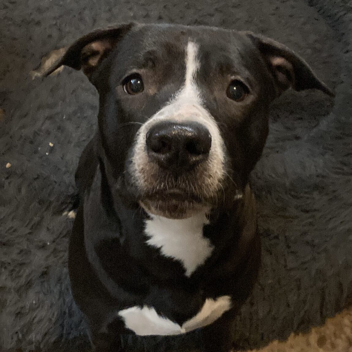 IMG_1523_Linne Querubin