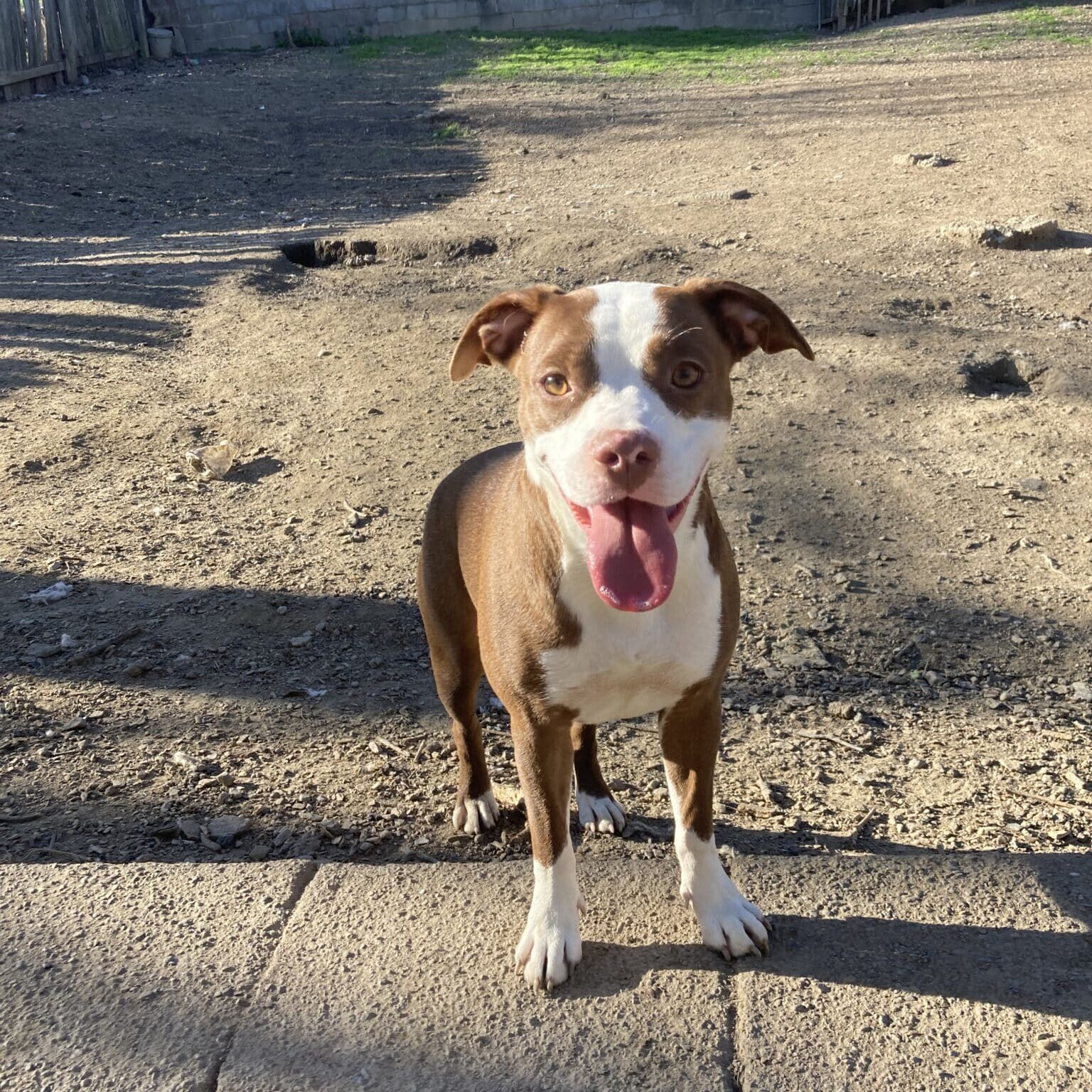 IMG_2733_Linne Querubin