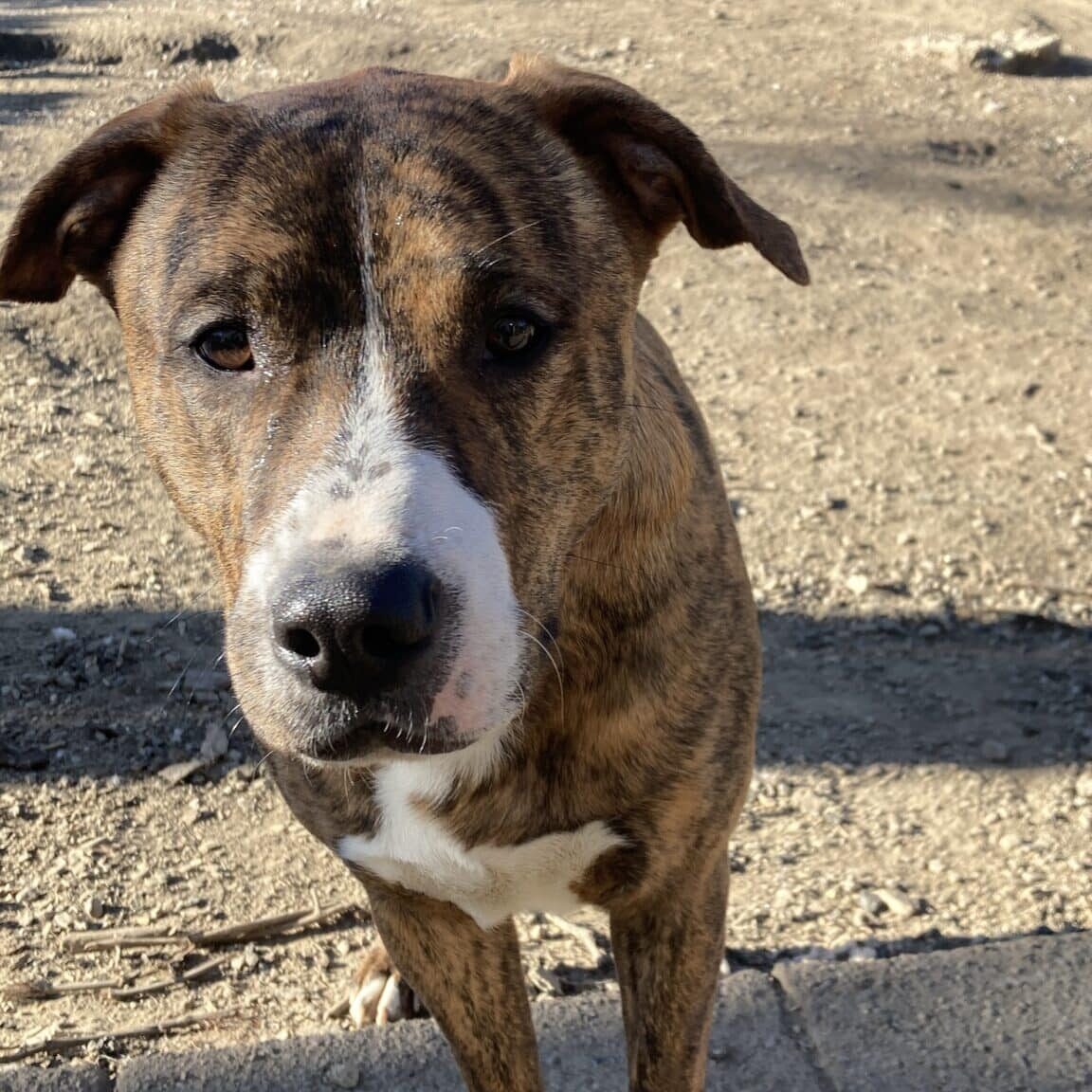 IMG_2752_Linne Querubin