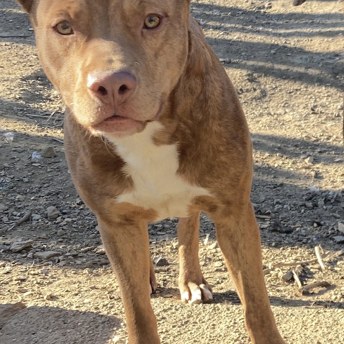 IMG_2777_Linne Querubin