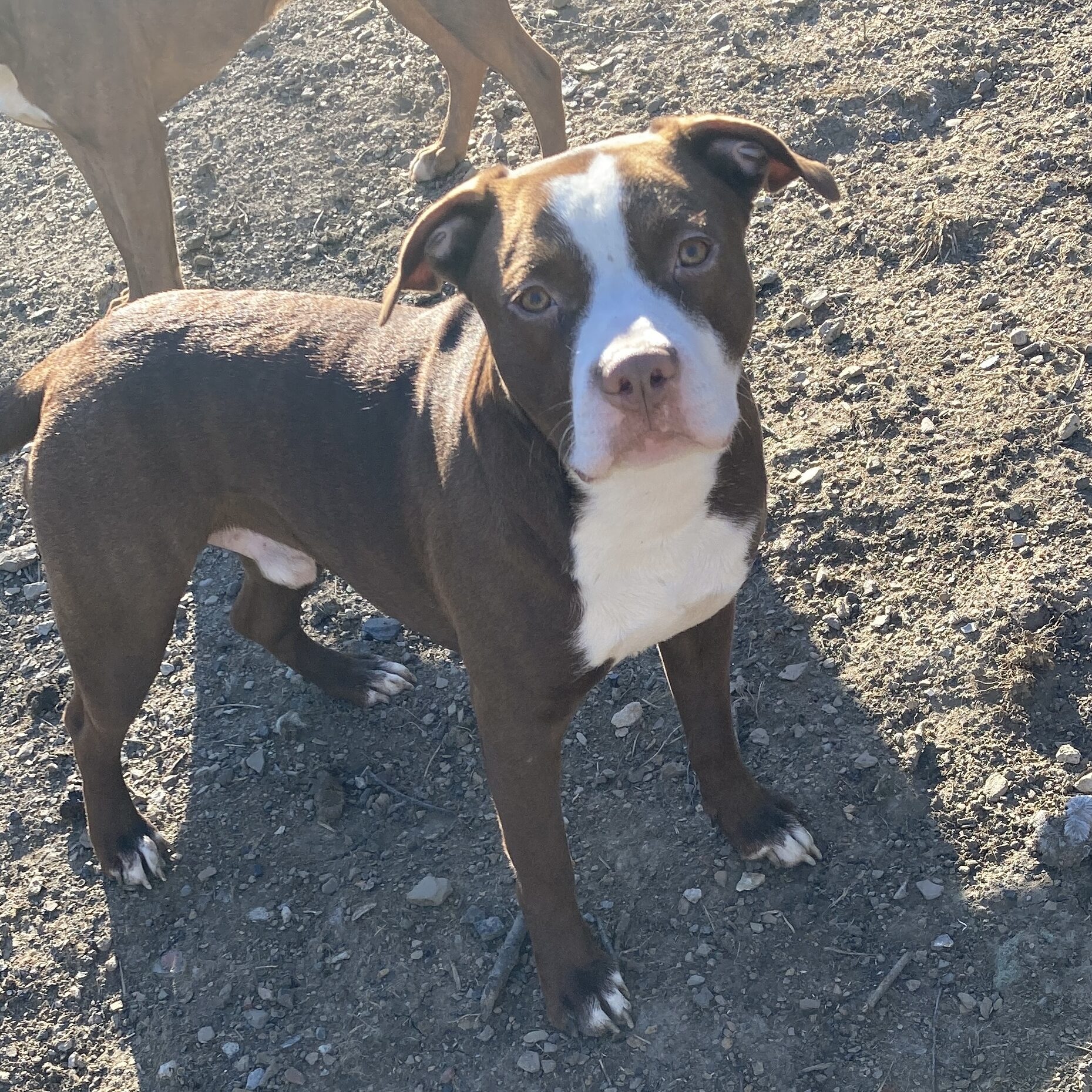 IMG_2781_Linne Querubin