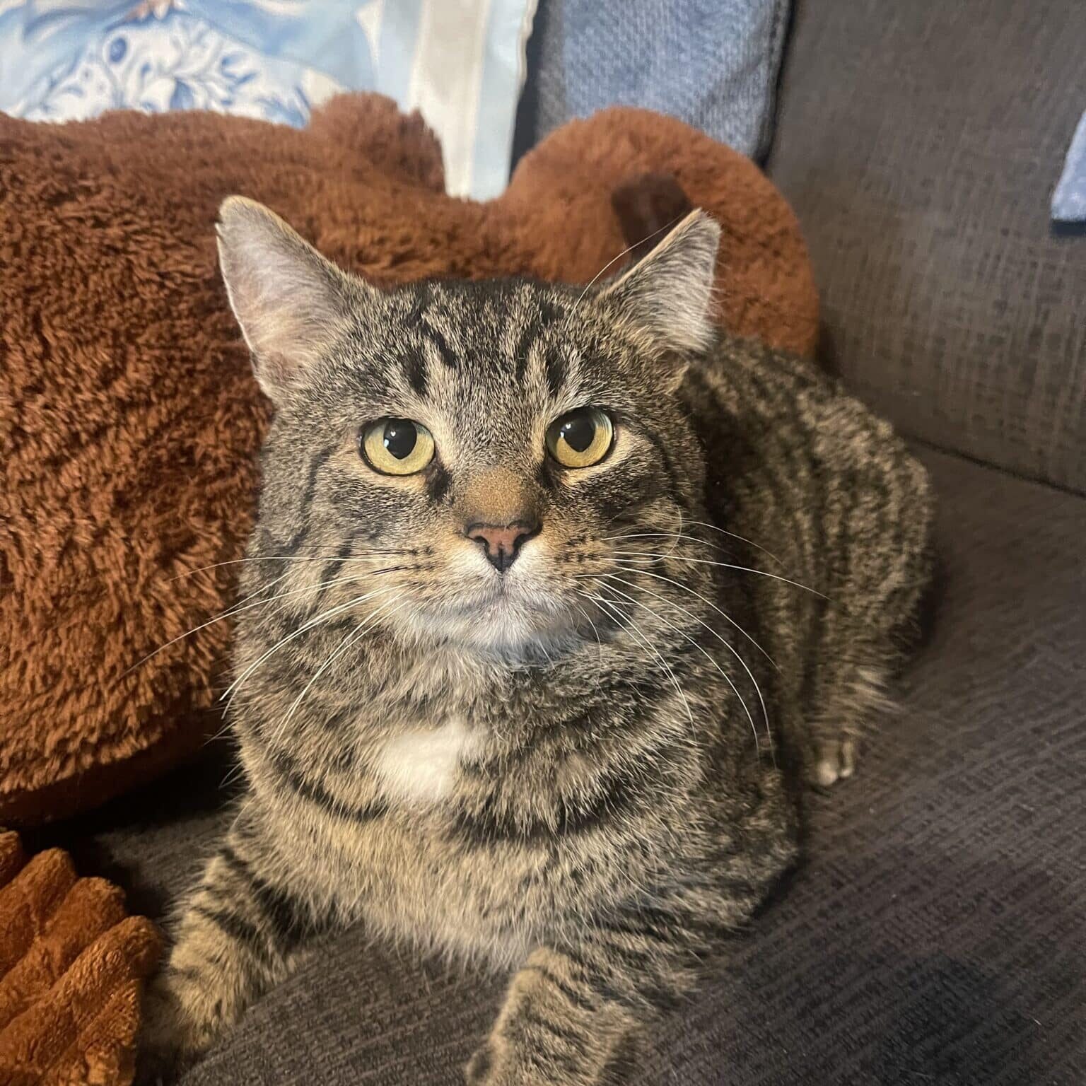 IMG_2931_Linne Querubin