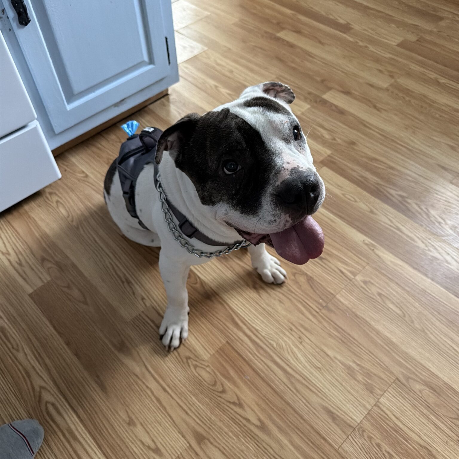 IMG_6795_Linne Querubin