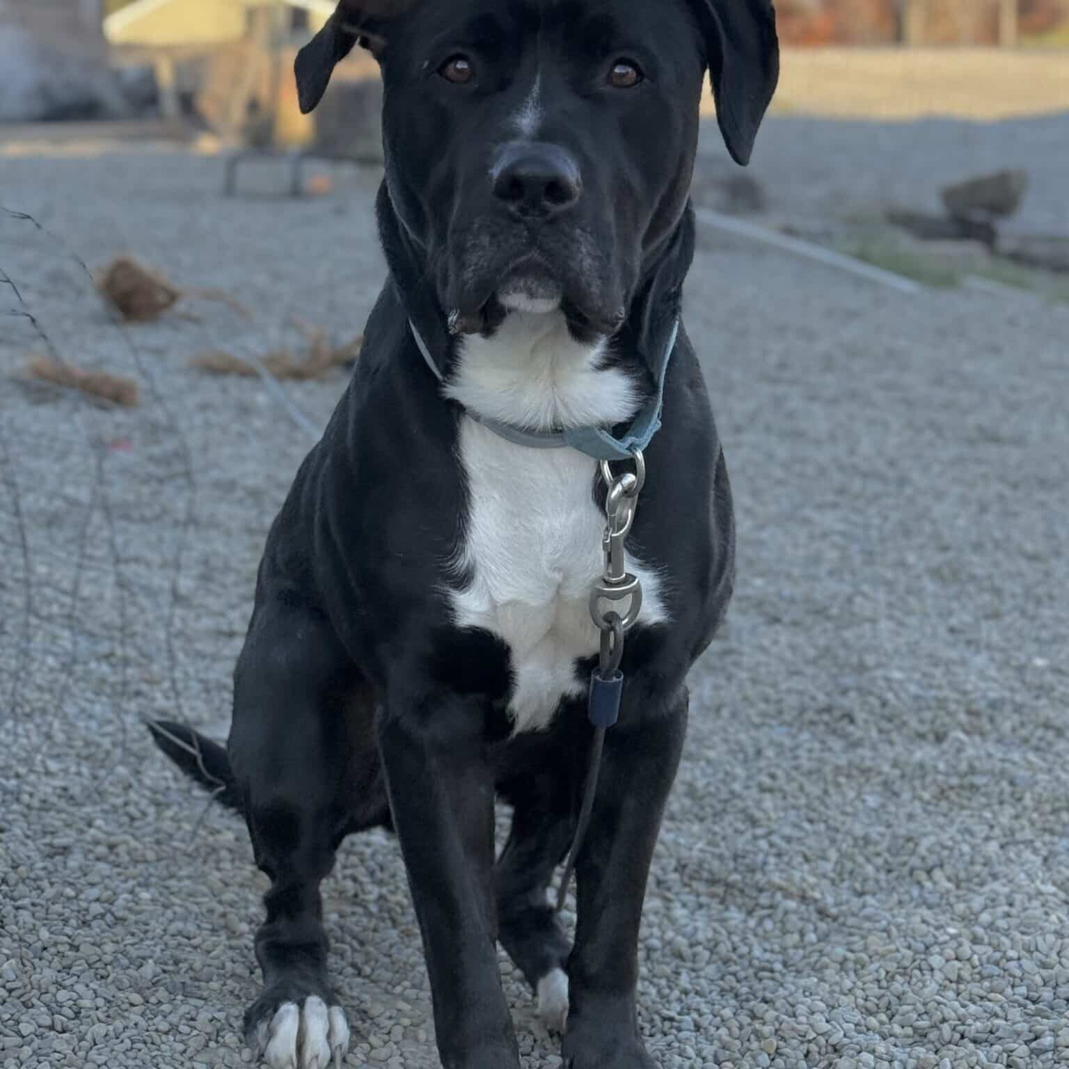 IMG_8521_Linne Querubin