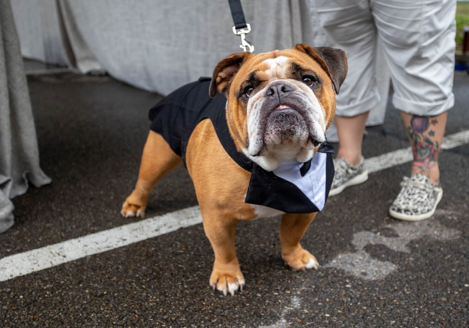Black Tie & Tails Black Tie & Tails