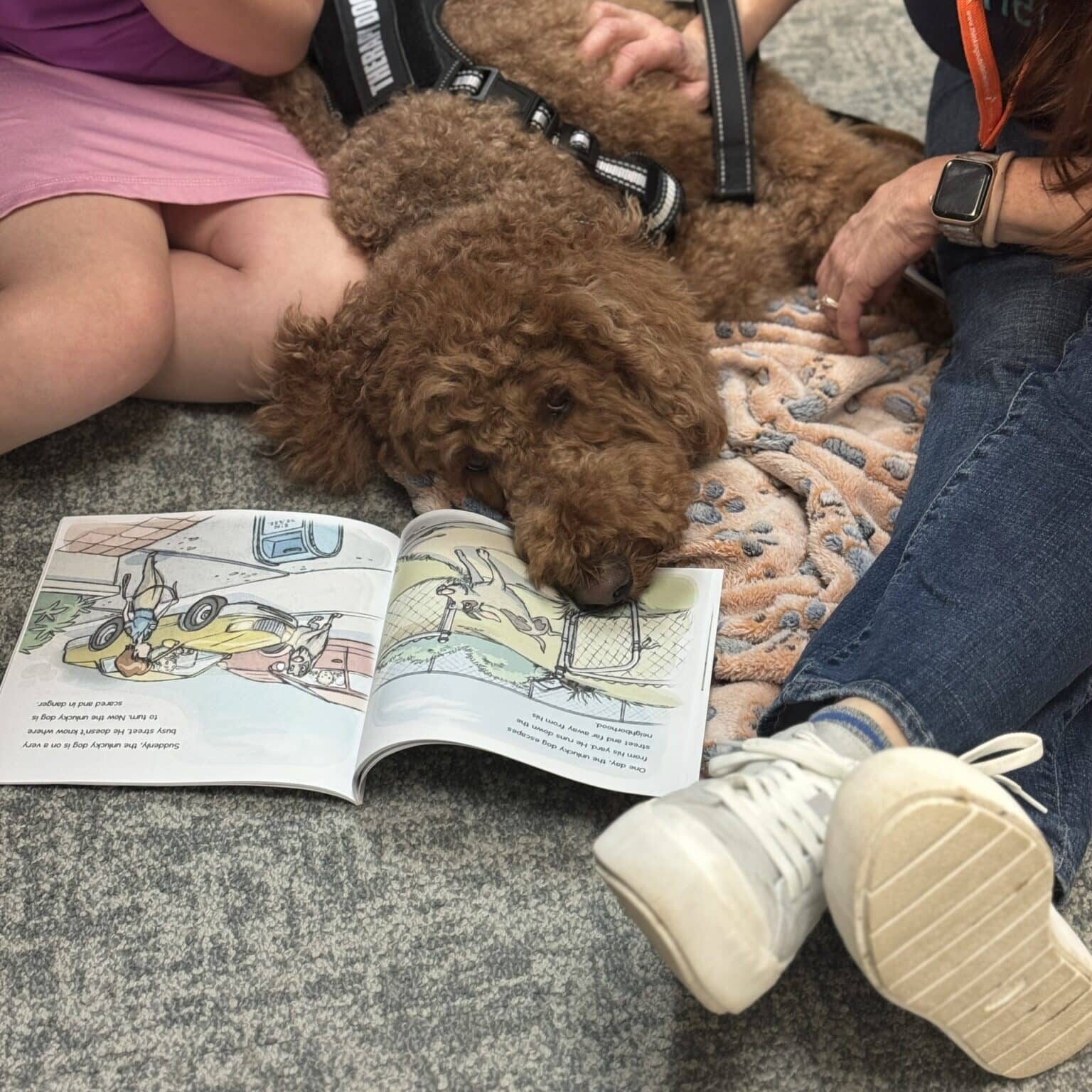 PALS test 2 thumbnail_IMG_9831 (1)