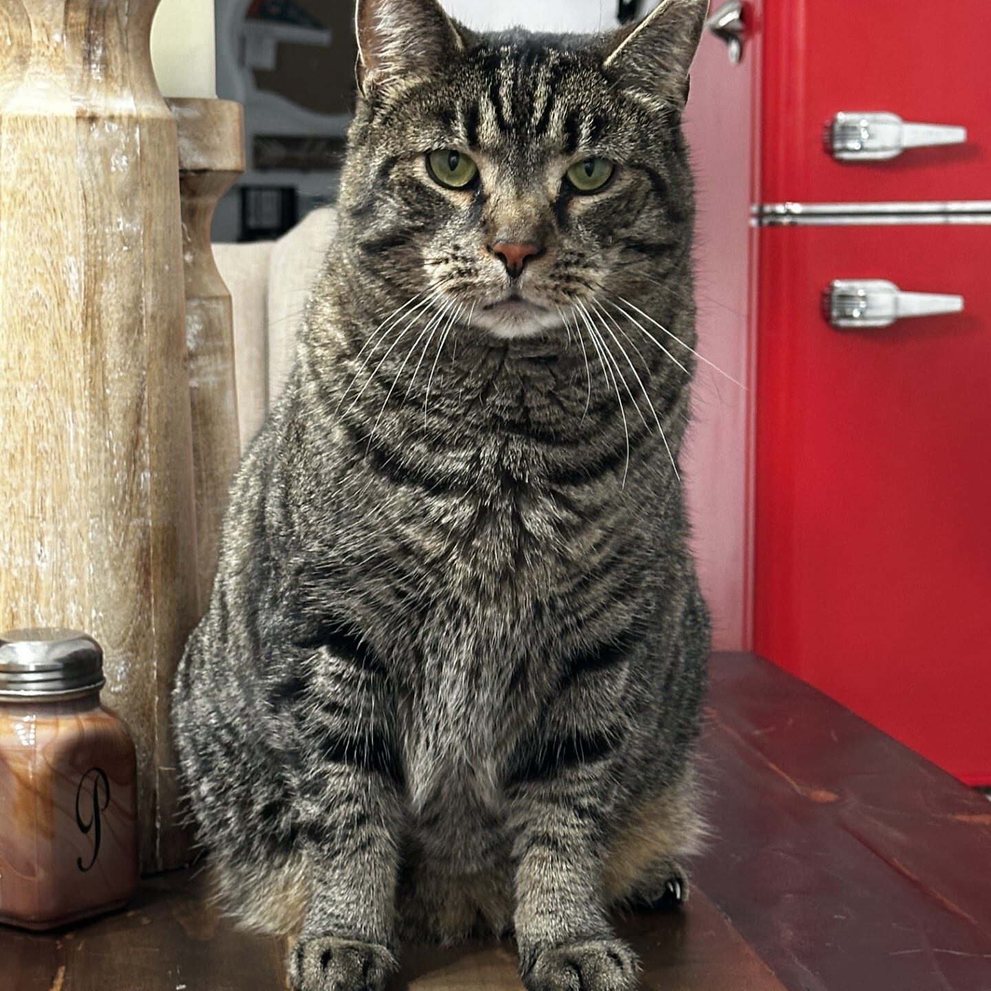 bill1_Linne Querubin